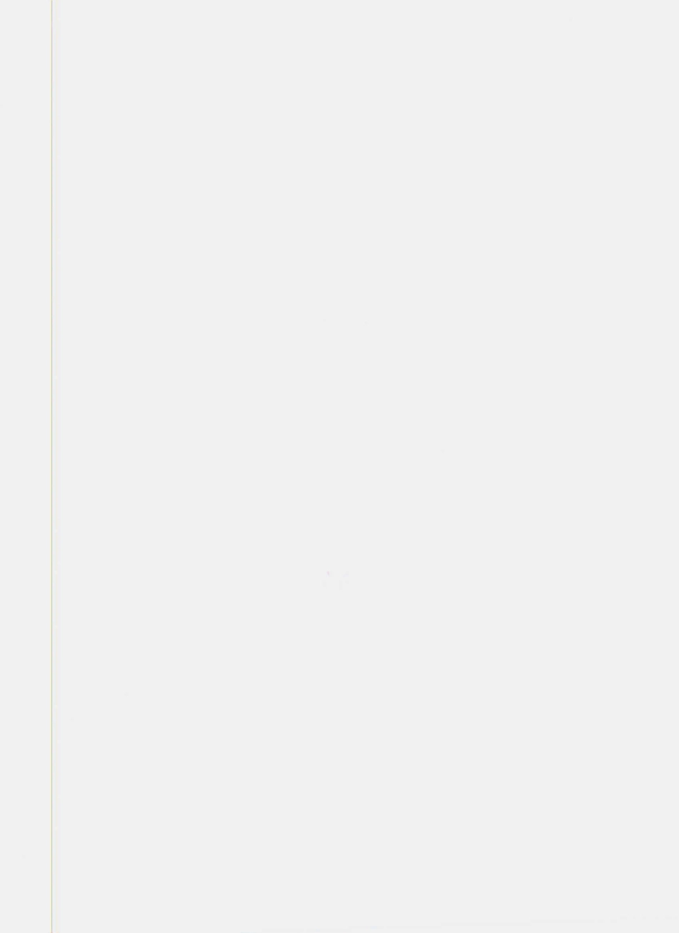 QFHR 0001 S-2013 金银花植物饮料（凉茶）.pdf_第2页