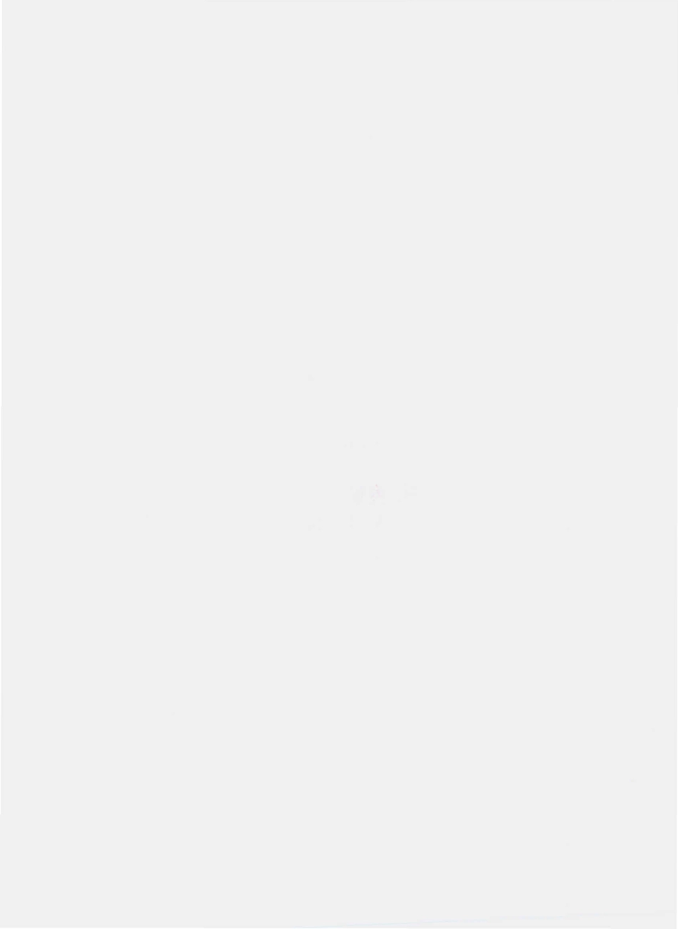 QGLD 0001 S-2010 食用木薯淀粉.pdf_第2页