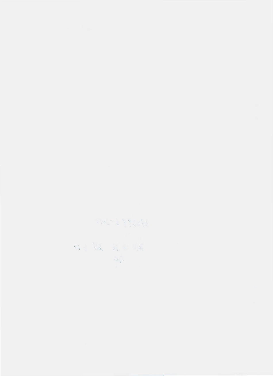 QGYH 0004 S-2010 油炸食用菌.pdf_第2页