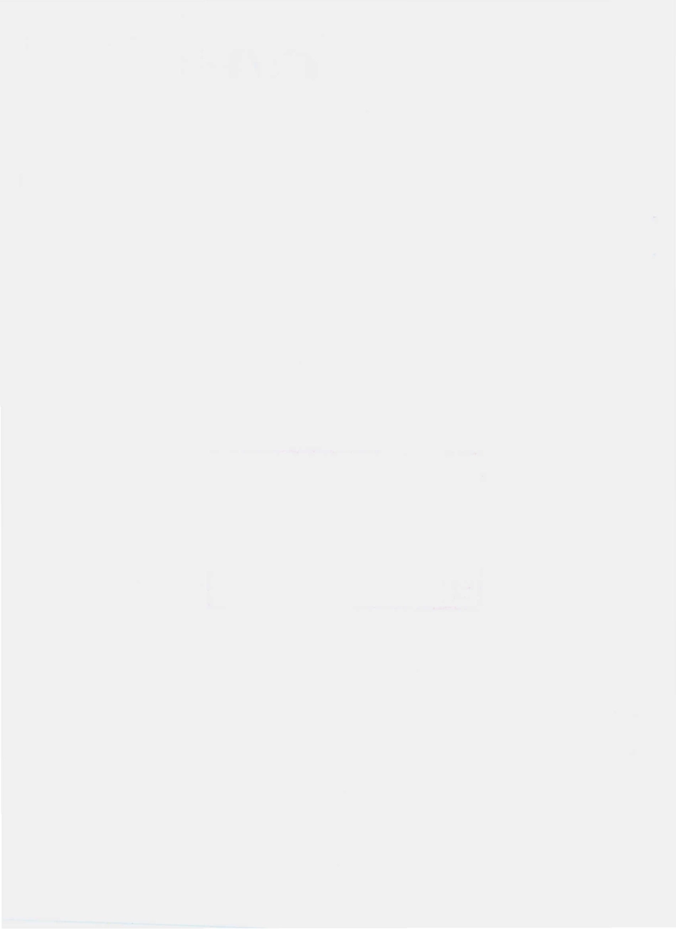 QHLP 0001 S-2009 猪肝胙.pdf_第2页