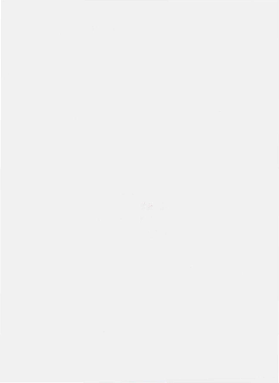 QHWD 0001 S-2010 好味道风味煎鱼.pdf_第2页