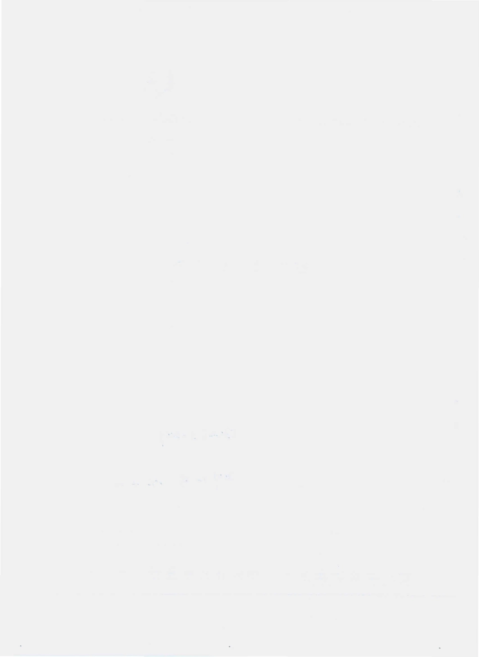 QJDL 0003 S-2009 金娜牌三七菊茶.pdf_第2页