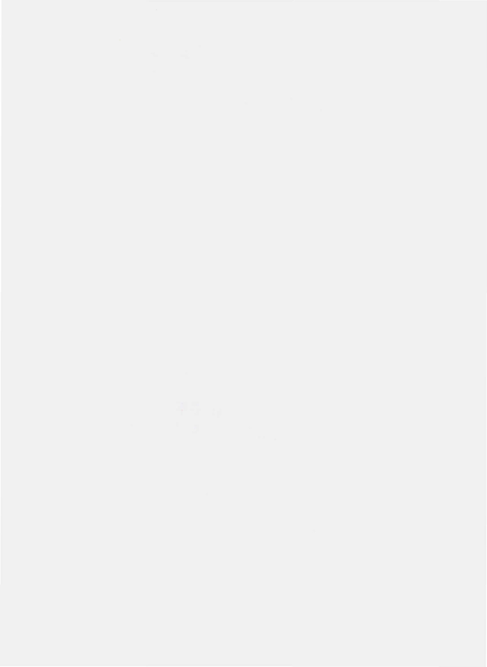 QKEX 0001 S-2010 康尔迅牌芦荟胶囊.pdf_第2页