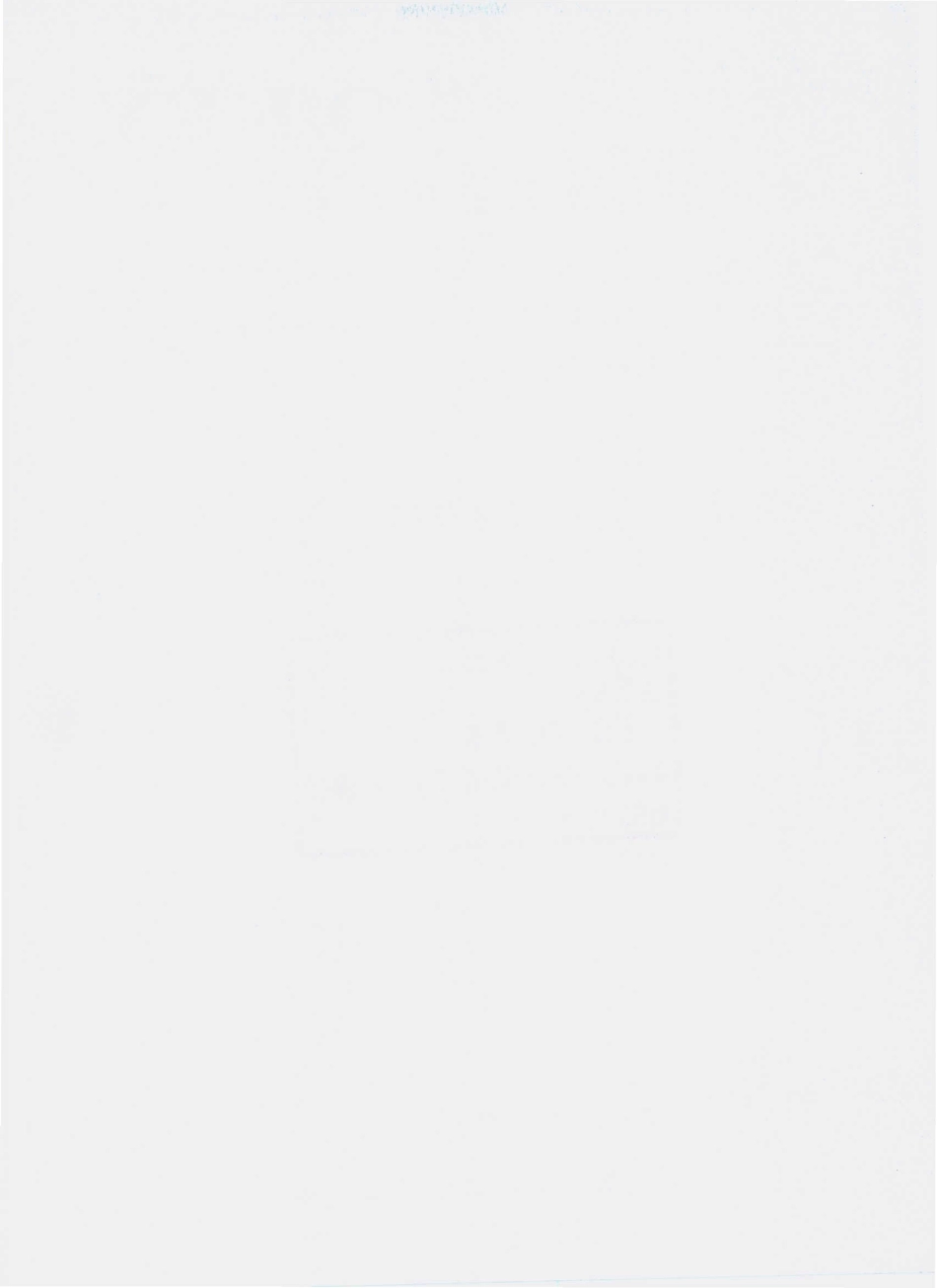 QKEY 0001 S-2010 果味饮料.pdf_第2页