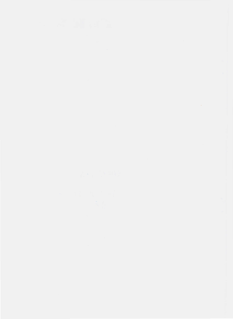 QKKK 0002 S-2009 现调饮料机专用糖浆.pdf_第2页