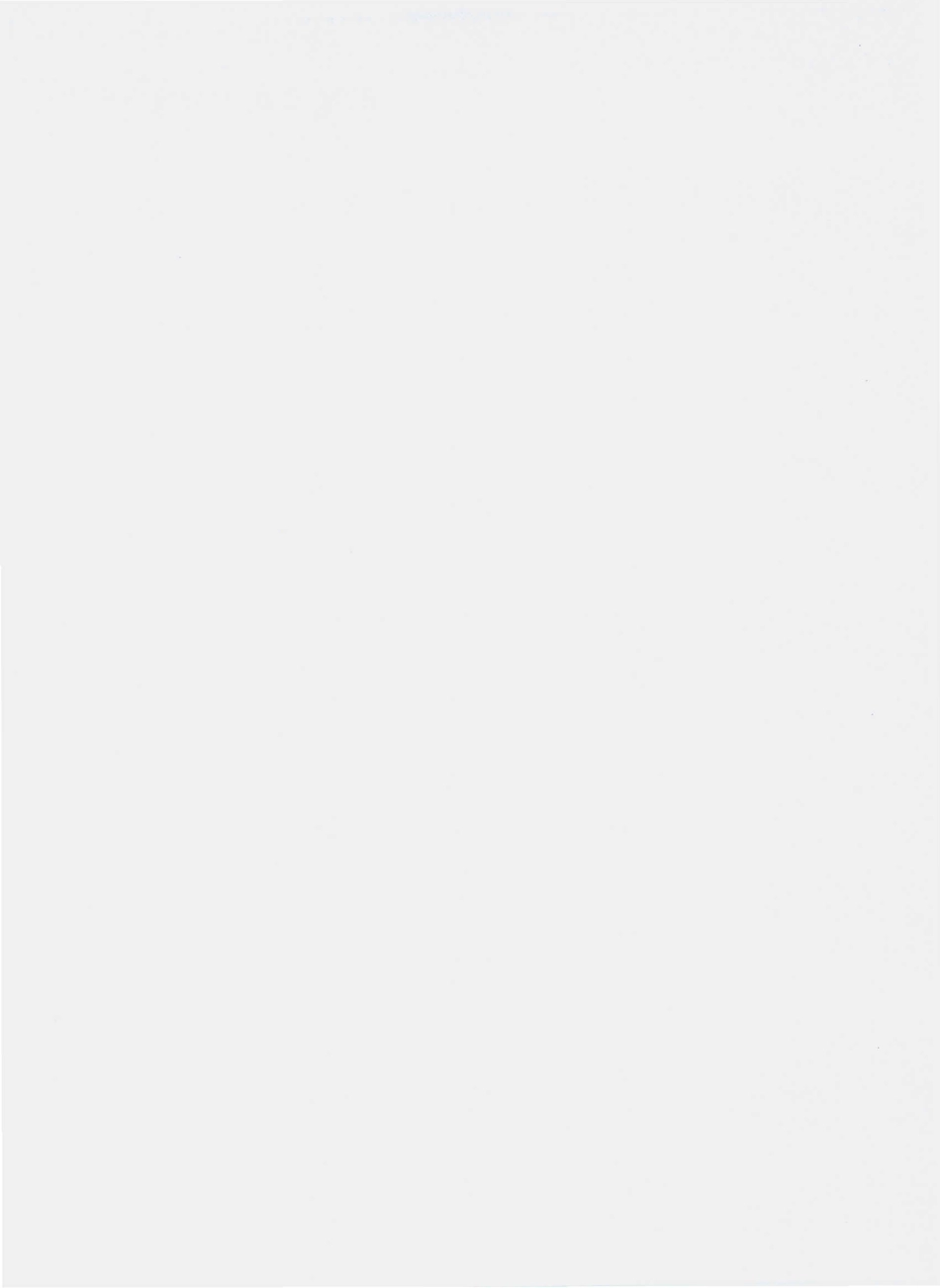 QKRS 0002 S-2010 果味饮料.pdf_第2页