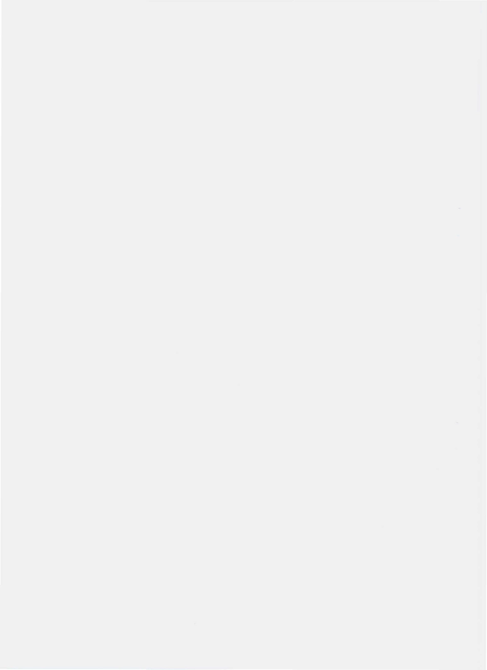 QKSR 0001 S-2009 粮食粉类制品.pdf_第2页