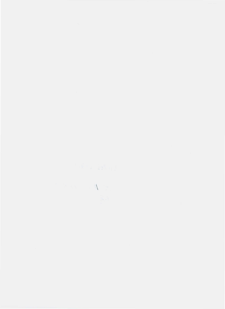 QLGK 0003 S-2010 梅花鹿肉血粉片.pdf_第2页