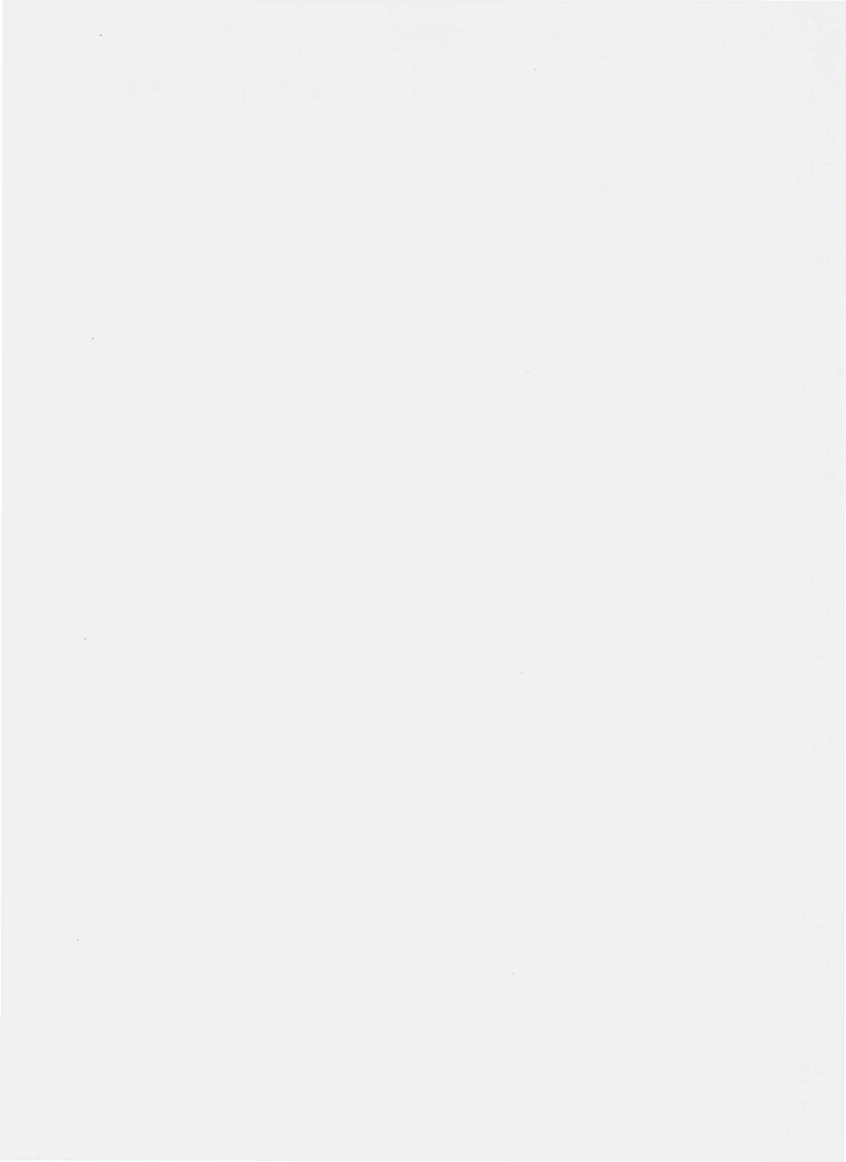 QLYL 0001 S-2010 干食用菌.pdf_第2页