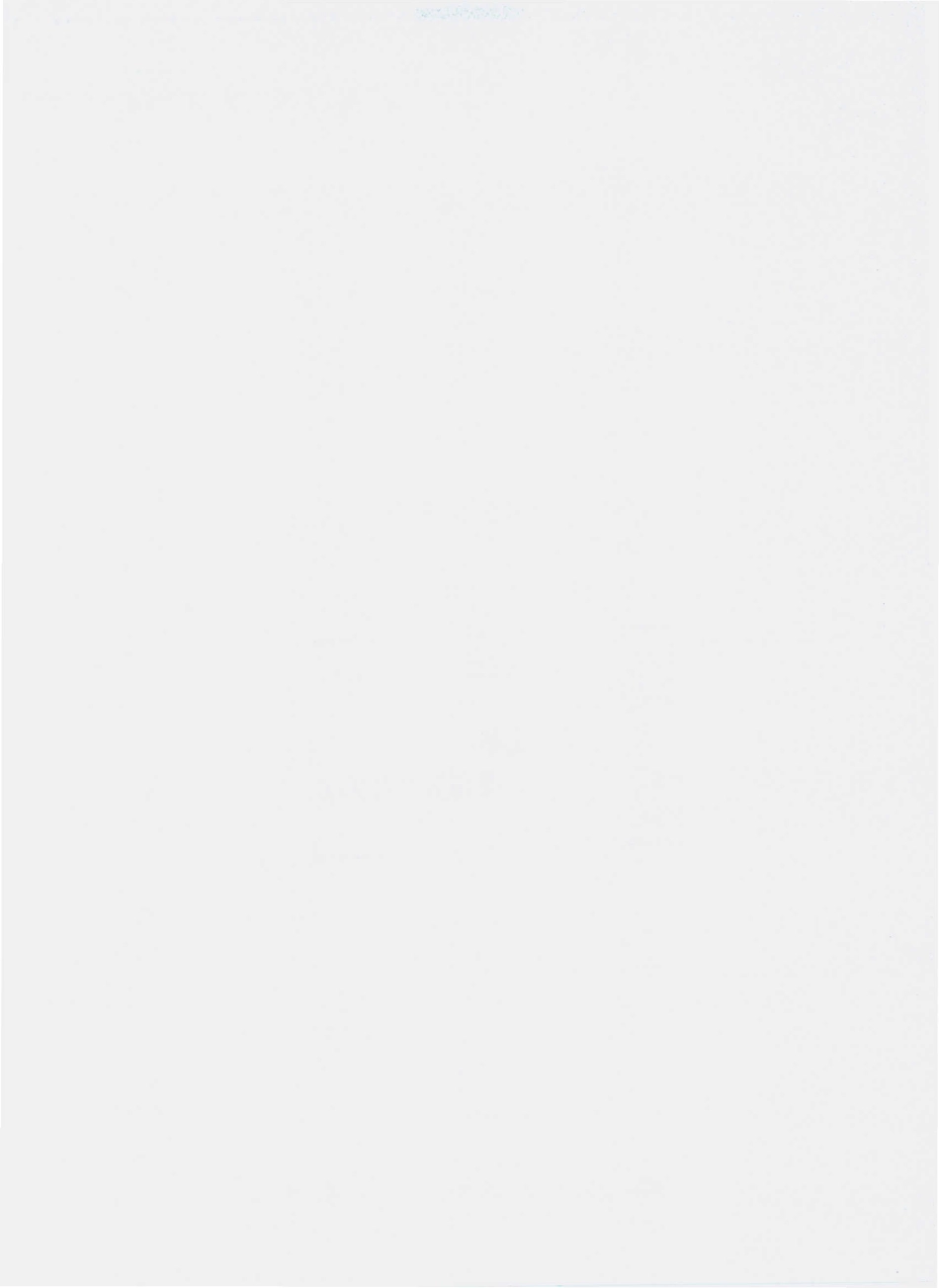 QMCS 0001 S-2010 木姜子干巴.pdf_第2页