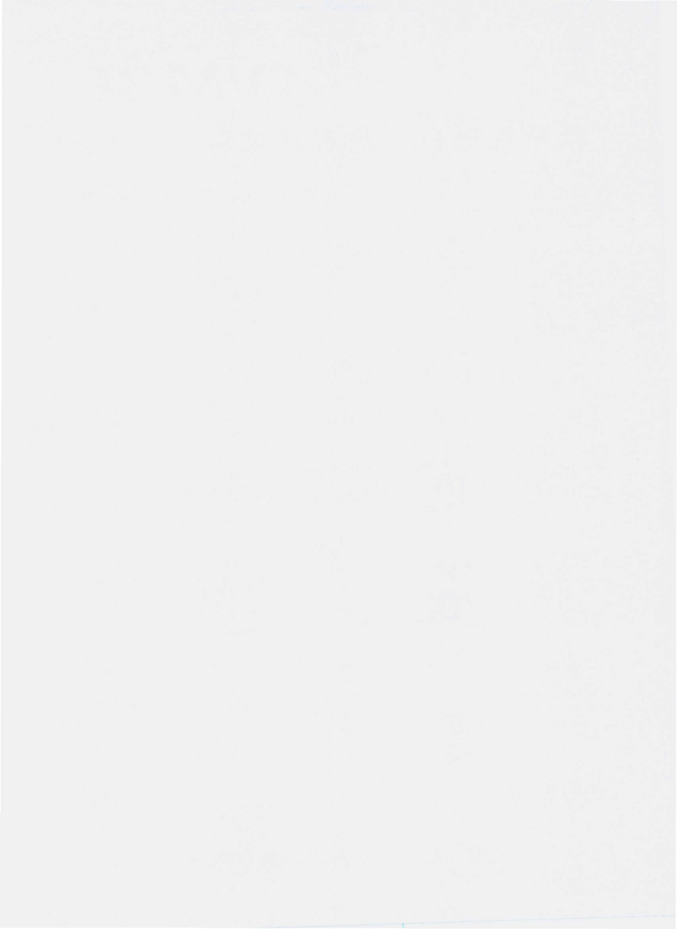 QMBL 0001 S-2010 孟巴拉混合果汁.pdf_第2页