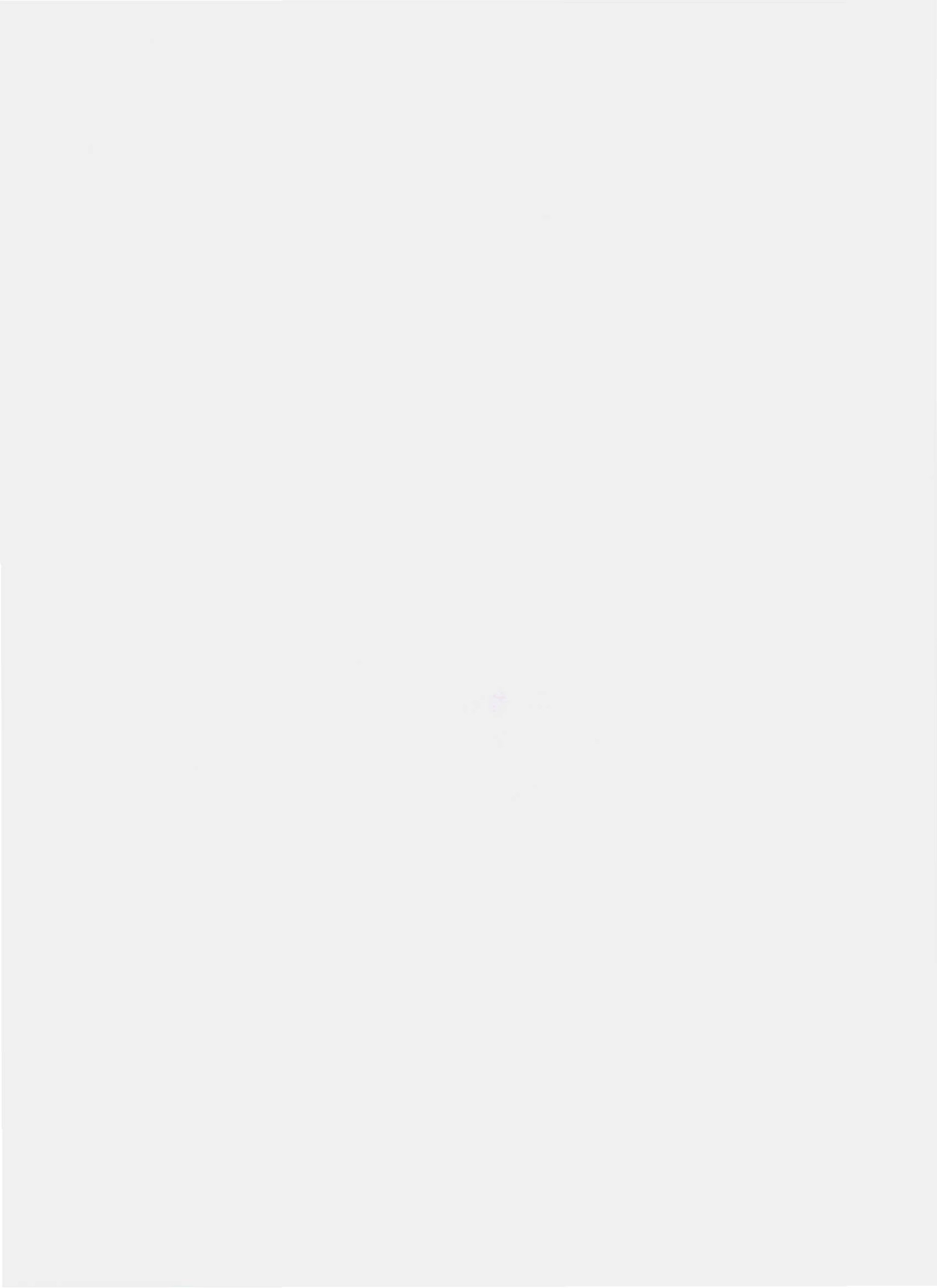 QLYT 0002 S-2010 燕麦炒面.pdf_第2页