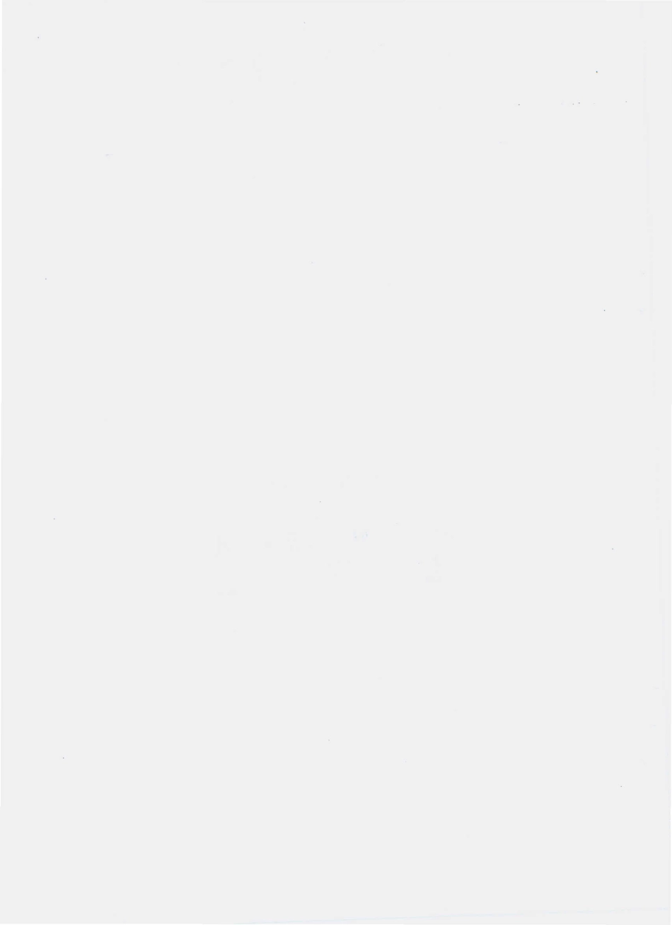 QNTF 0002 S-2010 油炸野生食用菌.pdf_第2页