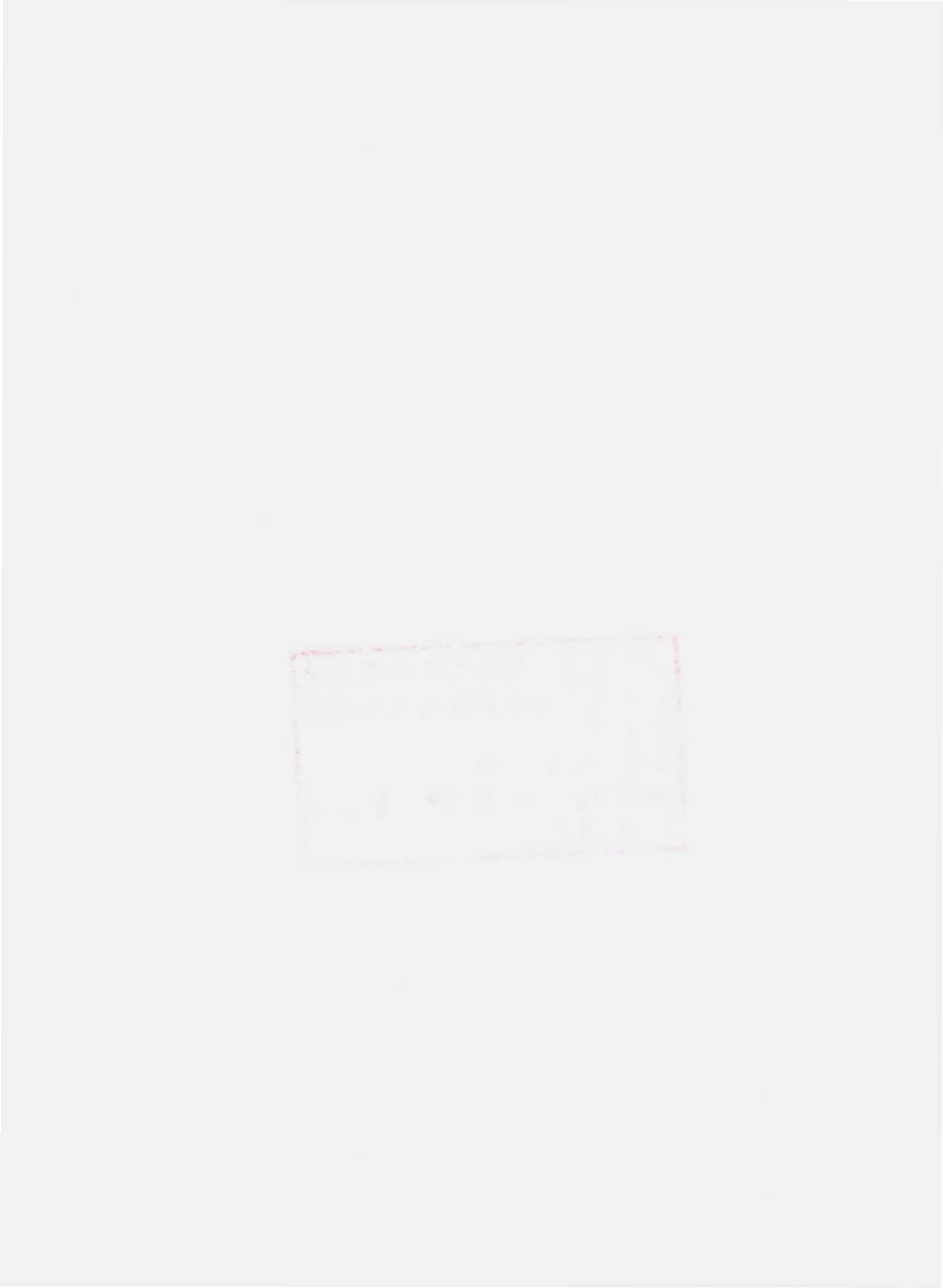 QSLM 0001 S-2015 丽江泸沽湖苏浬玛酒坊有限公司 苏浬玛酒（发酵酒）.pdf_第2页