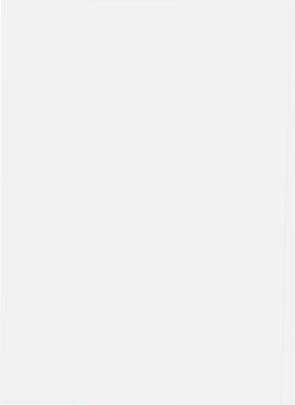 QTHD 0001 S-2010 盐渍菜.pdf_第2页