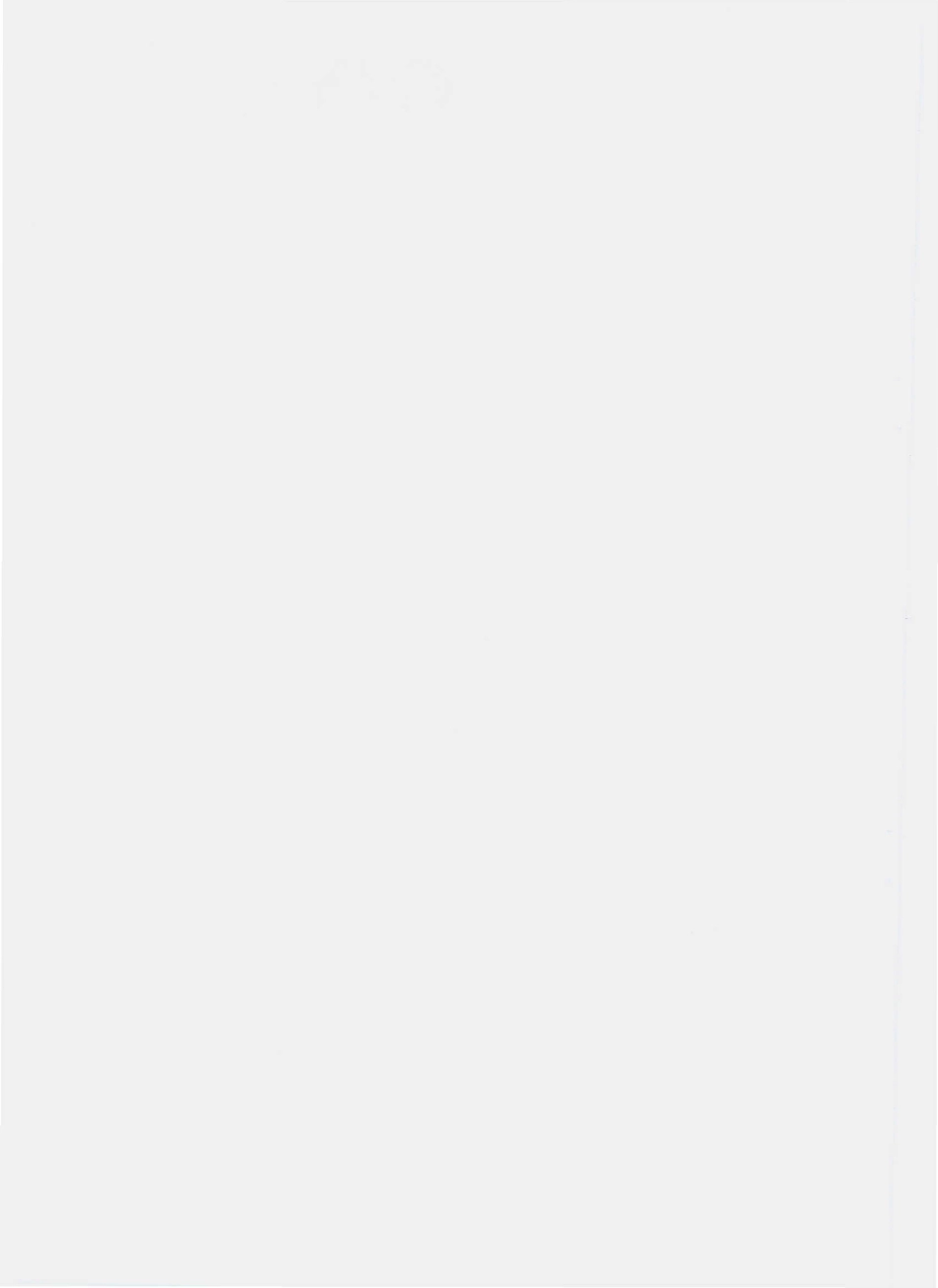 QYHJ 0001 S-2010 发酵酒（象都皇酒）.pdf_第2页