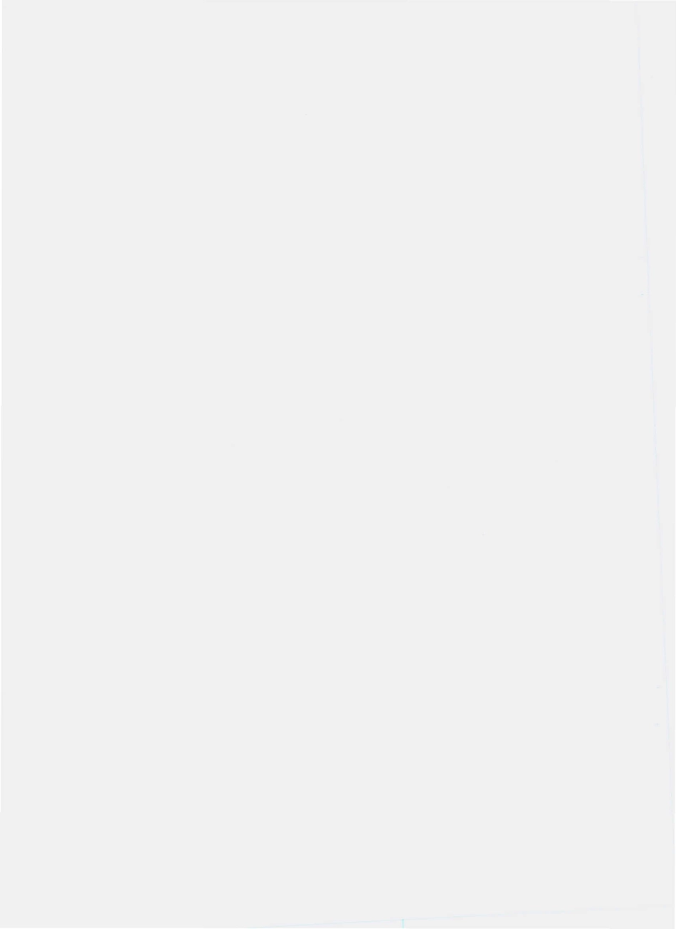 QWXY 0001 S-2010 挂面.pdf_第2页