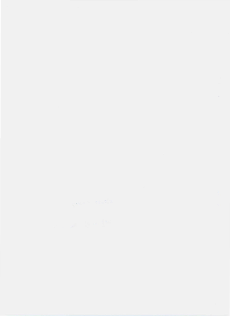 QXRX 0002 S-2009 盐渍野生食用菌.pdf_第2页