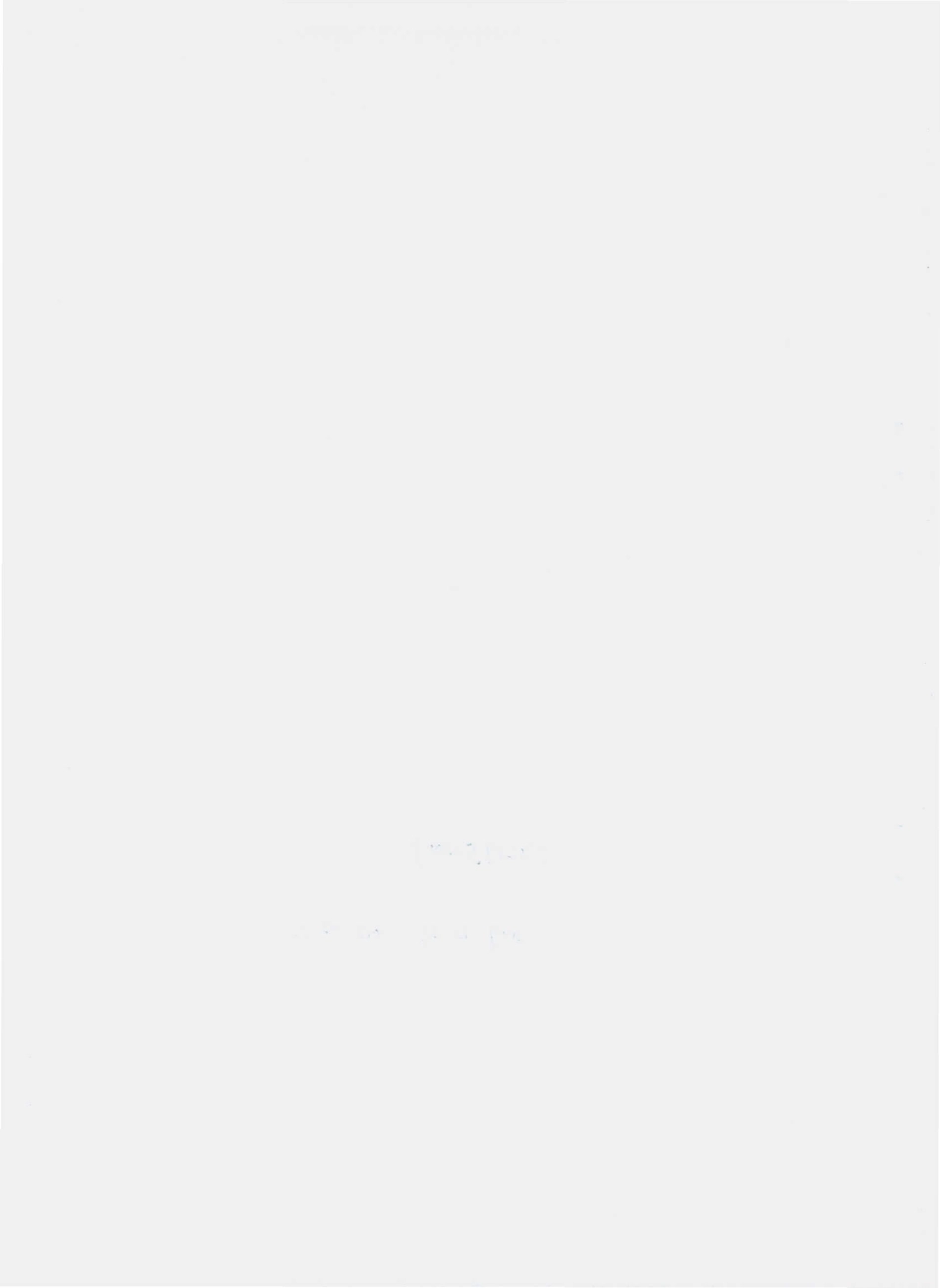 QXRX 0001 S-2009 速冻野生食用菌.pdf_第2页