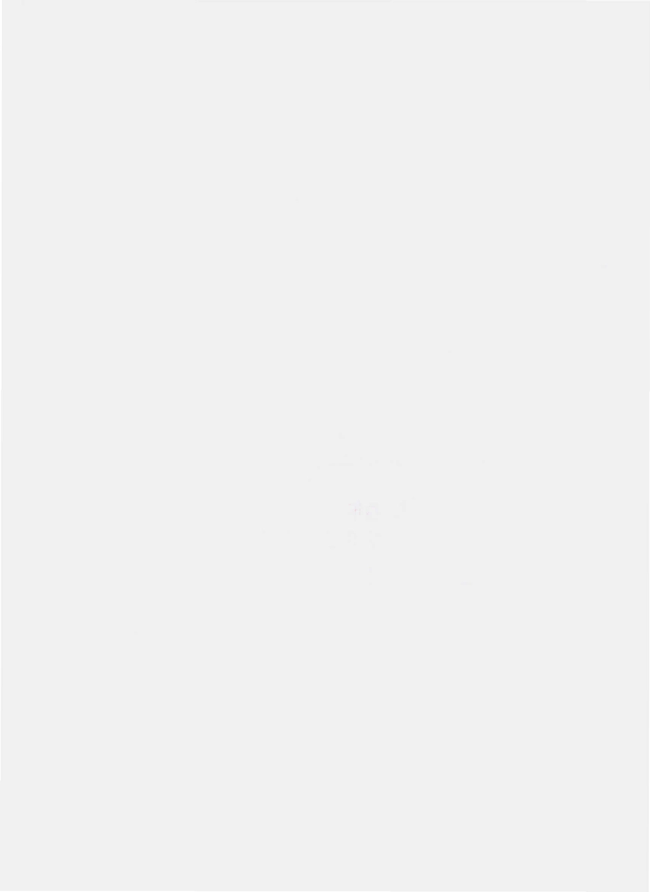 QYML 0001 S-2010 葡萄烈酒（蒸馏酒）.pdf_第2页