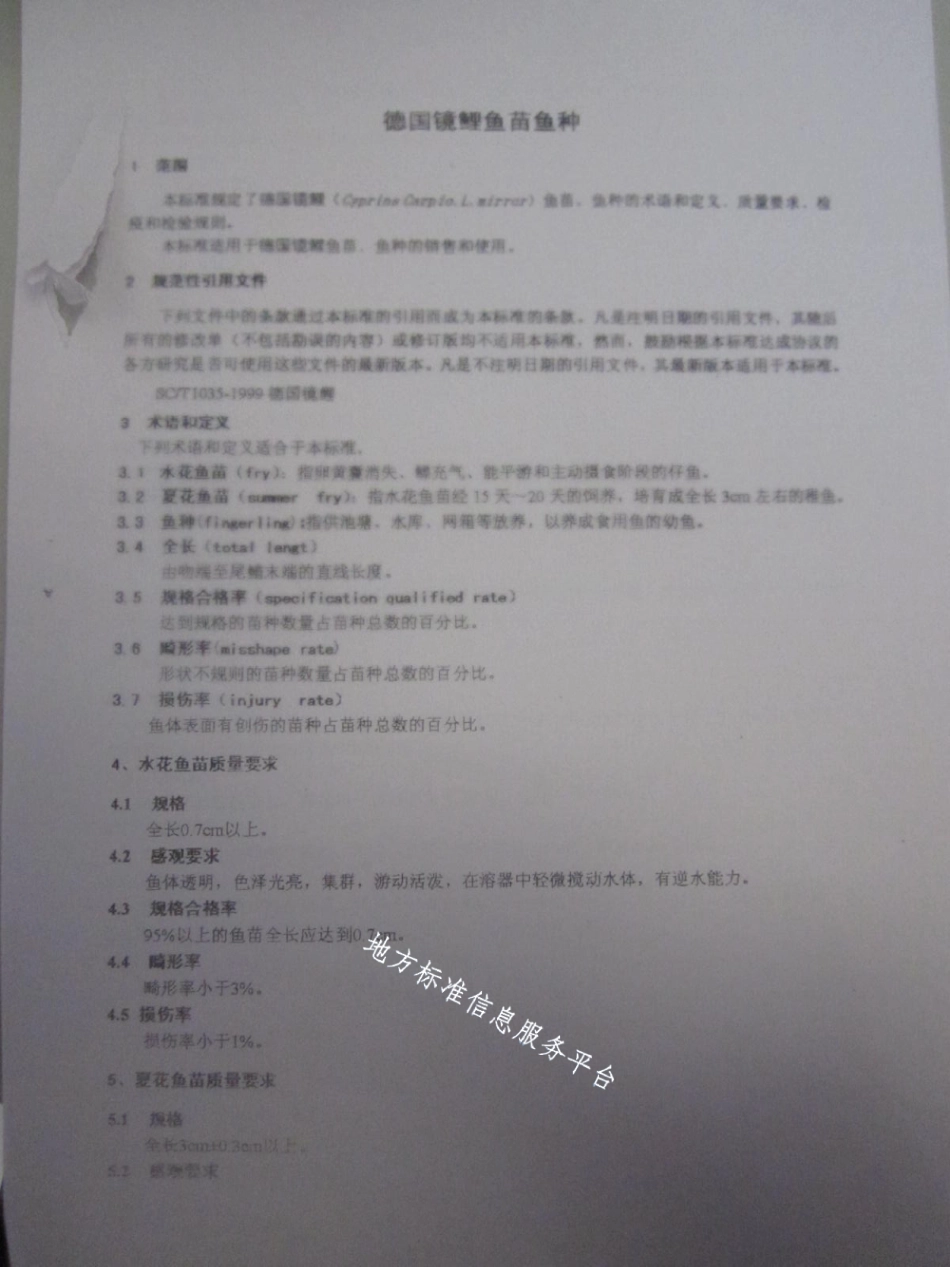 DB21T 1499-2007德国镜鲤鱼鱼种.pdf_第3页