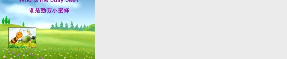 【沪教牛津版（三起）】四年级上册英语课件 Unit1 Meeting new people.ppt