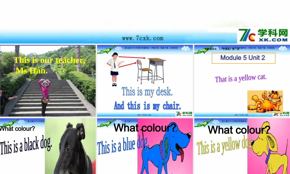 外研版（一起）一上Module 5《Unit 2 This is a yellow cat》ppt课件2.ppt