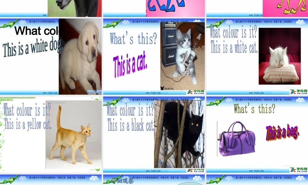 外研版（一起）一上Module 5《Unit 2 This is a yellow cat》ppt课件2.ppt