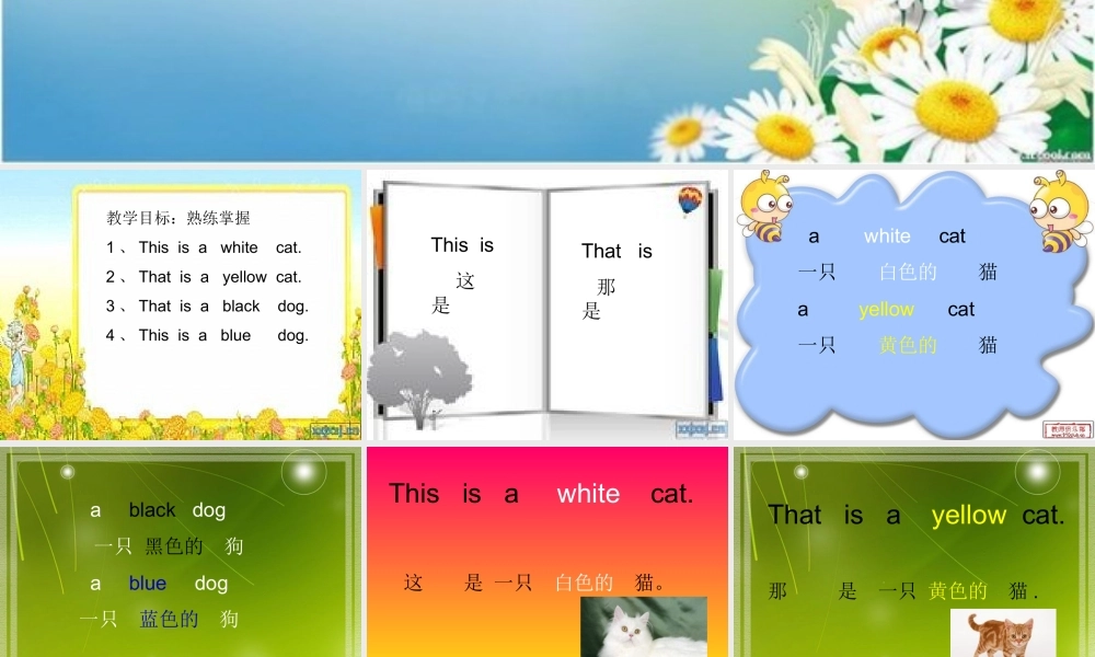 外研版（一起）一上Module 5《Unit 2 This is a yellow cat》ppt课件1.ppt