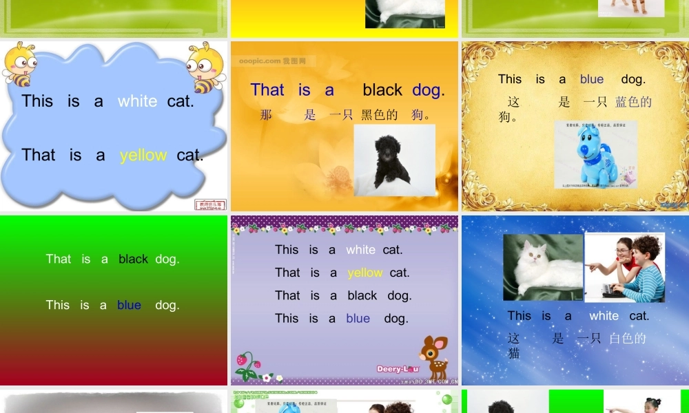 外研版（一起）一上Module 5《Unit 2 This is a yellow cat》ppt课件1.ppt