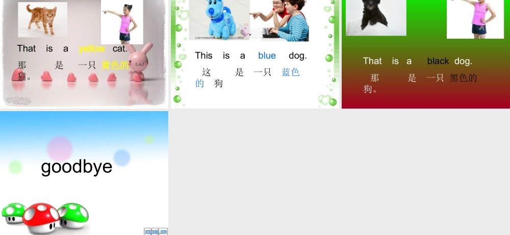外研版（一起）一上Module 5《Unit 2 This is a yellow cat》ppt课件1.ppt