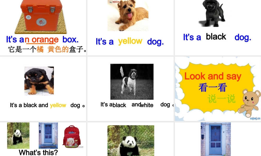 外研版（一起）一上Module 4《Unit 2 It’s a red dog》ppt课件2.ppt