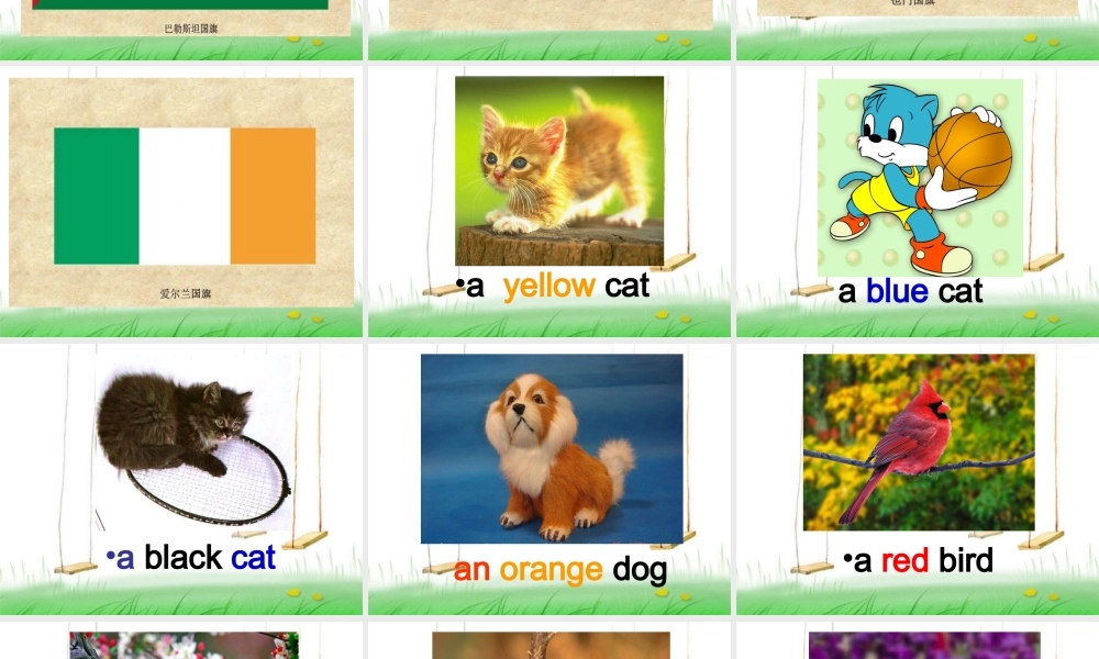 外研版（一起）一上Module 7《Unit 2 It’s a yellow cat》ppt课件2.ppt