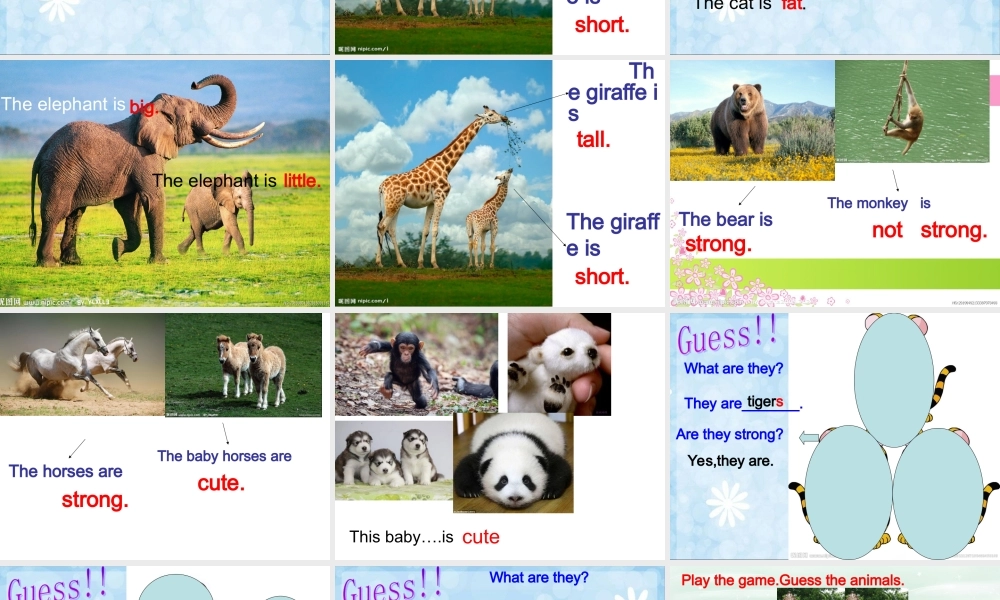 外研版（一起）一下Module 6《Unit 2 They’re little and cute》ppt课件1.ppt