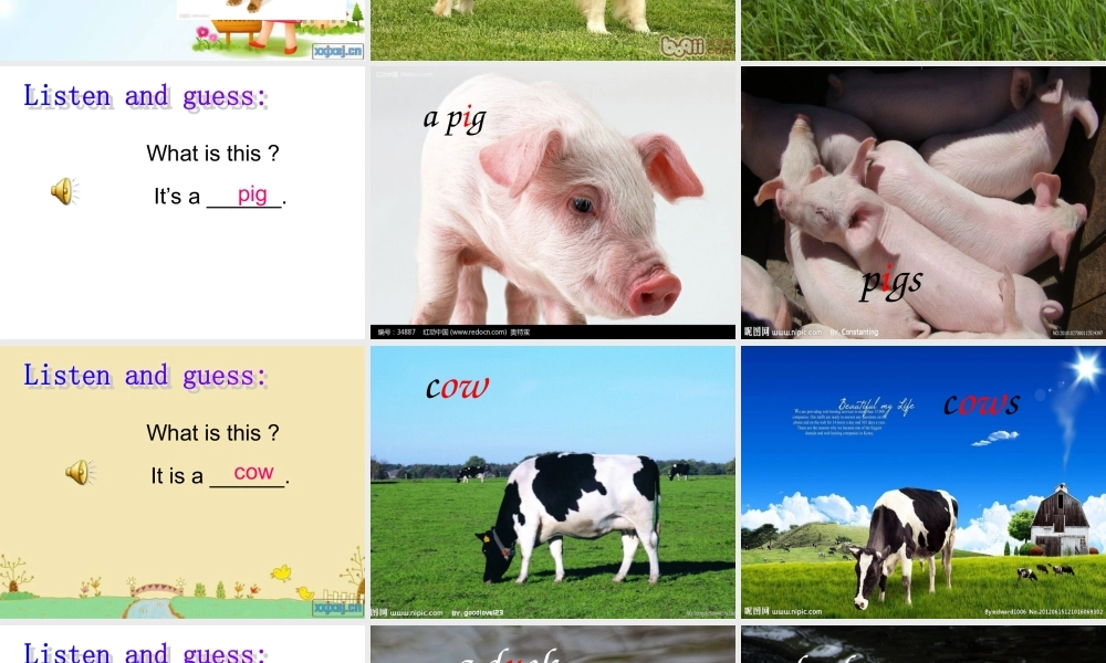外研版（一起）一下Module 5《Unit 1 They’re cows》ppt课件3.ppt