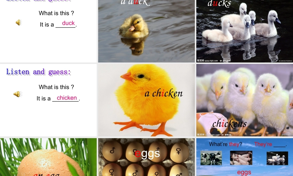 外研版（一起）一下Module 5《Unit 1 They’re cows》ppt课件3.ppt