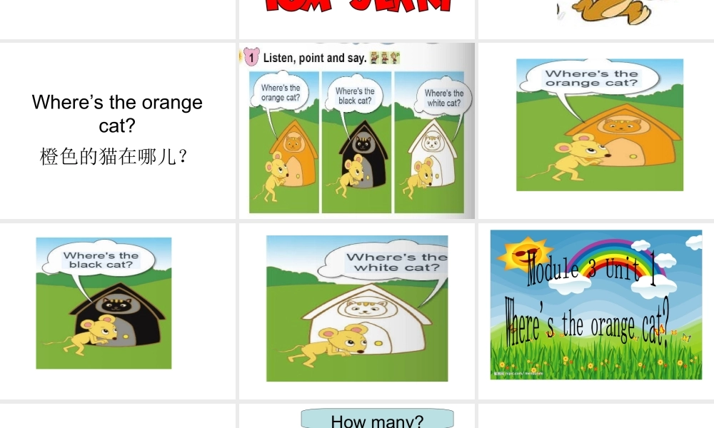 外研版（一起）一下Module 3《Unit 1 Where’s the orange cat》ppt课件3.ppt