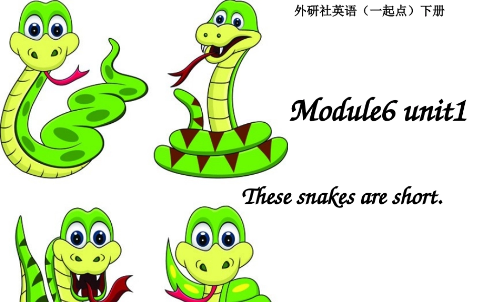 外研版（一起）一下Module 6《Unit 1 These snakes are short》ppt课件4.ppt