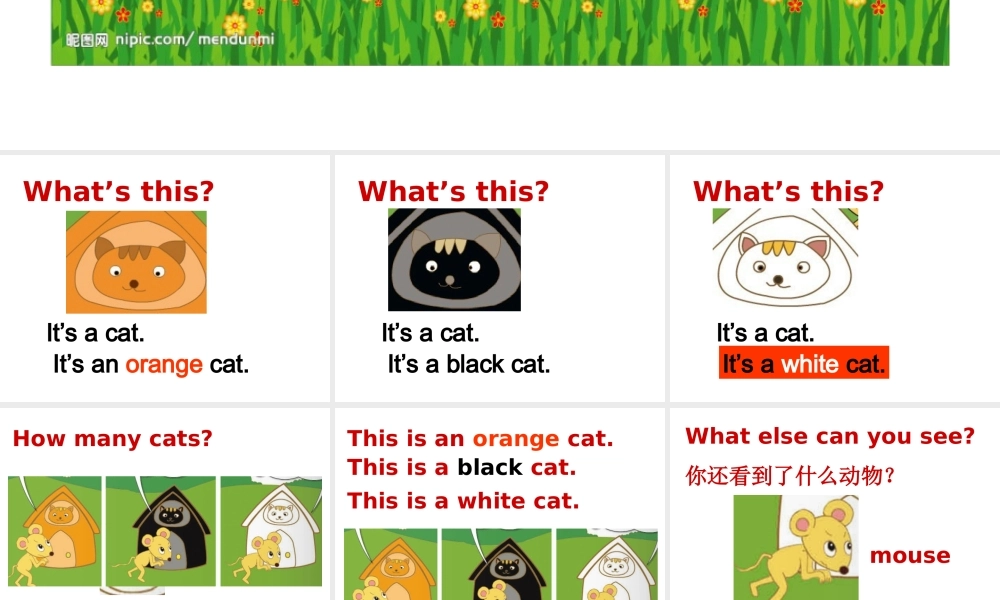 外研版（一起）一下Module 3《Unit 1 Where’s the orange cat》ppt课件5.ppt