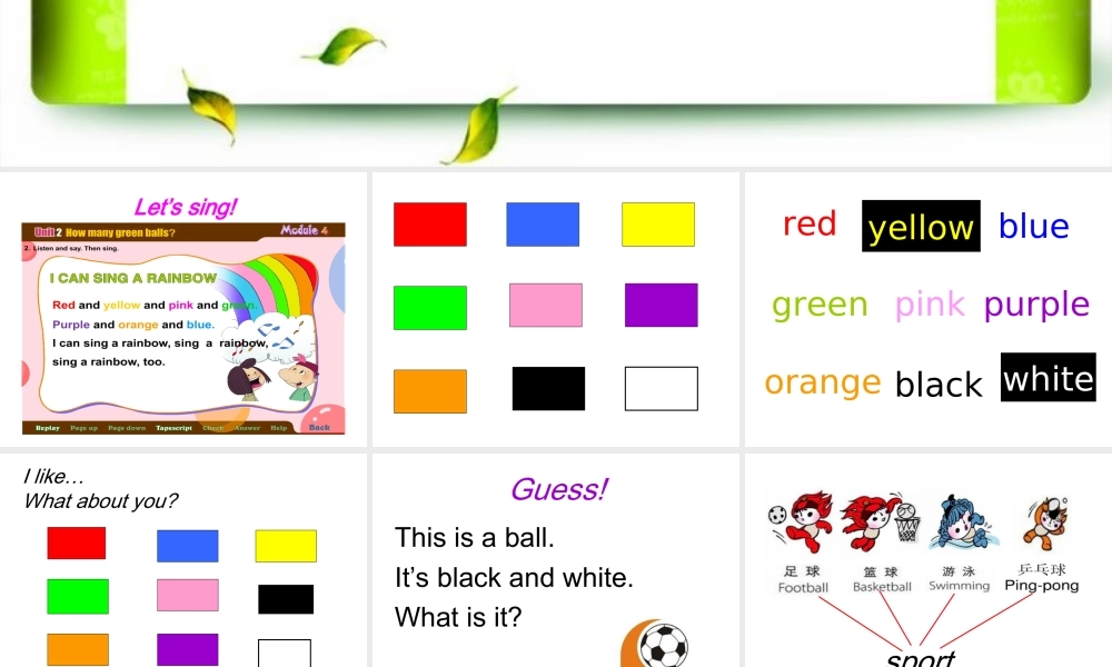 外研版（一起）一下Module 9《Unit 2 What’s your favourite sport》ppt课件2.ppt