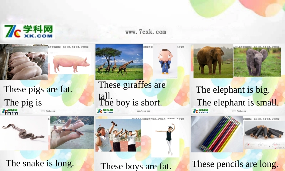 外研版（一起）一下Module 6《Unit 1 These snakes are short》ppt课件3.ppt