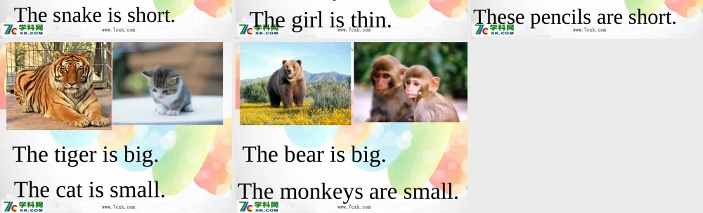 外研版（一起）一下Module 6《Unit 1 These snakes are short》ppt课件3.ppt