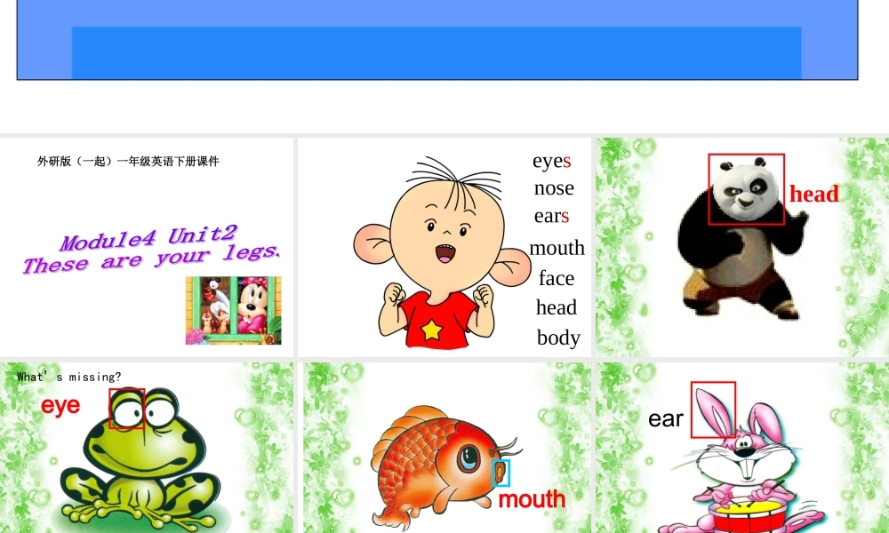 外研版（一起）一下Module 4《Unit 2 These are your legs》ppt课件1.ppt