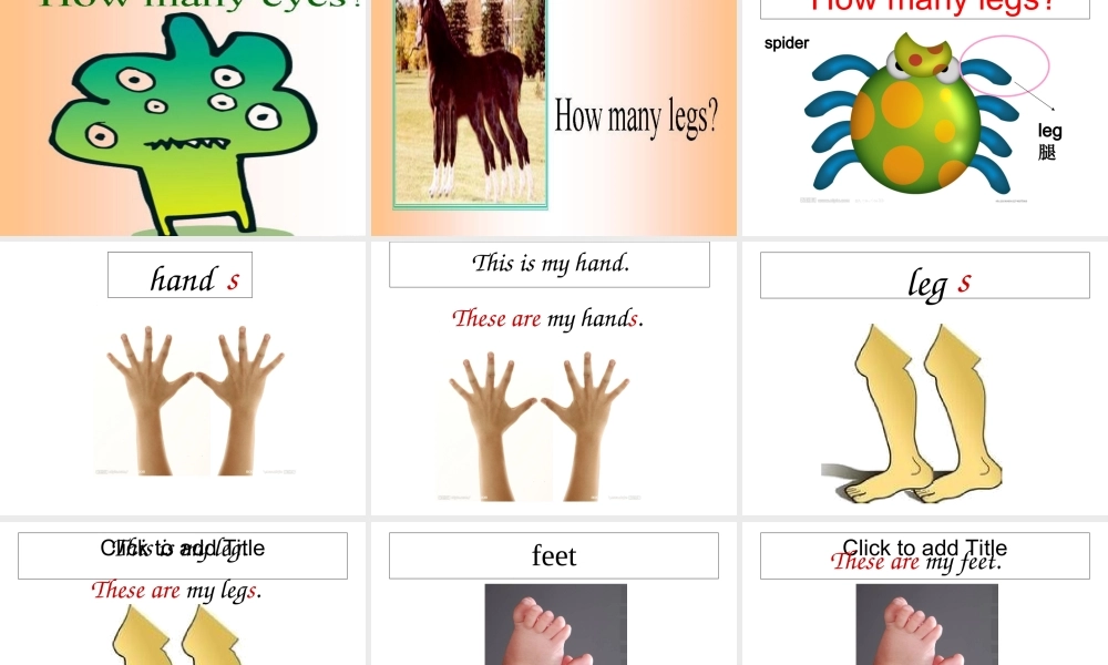 外研版（一起）一下Module 4《Unit 2 These are your legs》ppt课件1.ppt