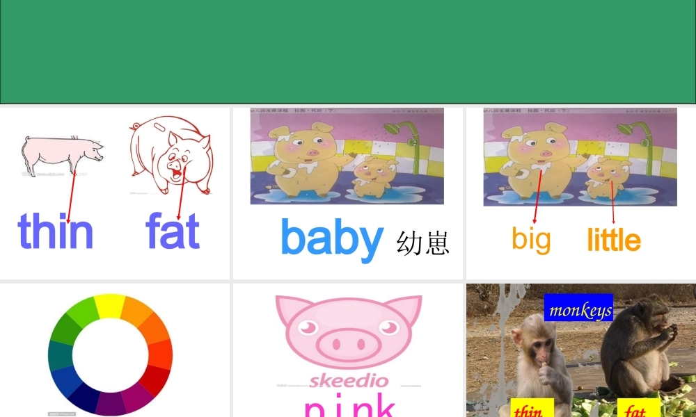 外研版（一起）一下Module 5《Unit 2 It’s thin》ppt课件2.ppt