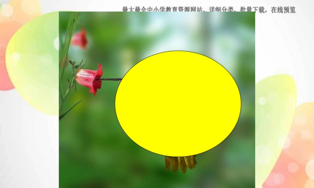 外研版（一起）一下Module 5《Unit 2 It’s thin》ppt课件3.ppt