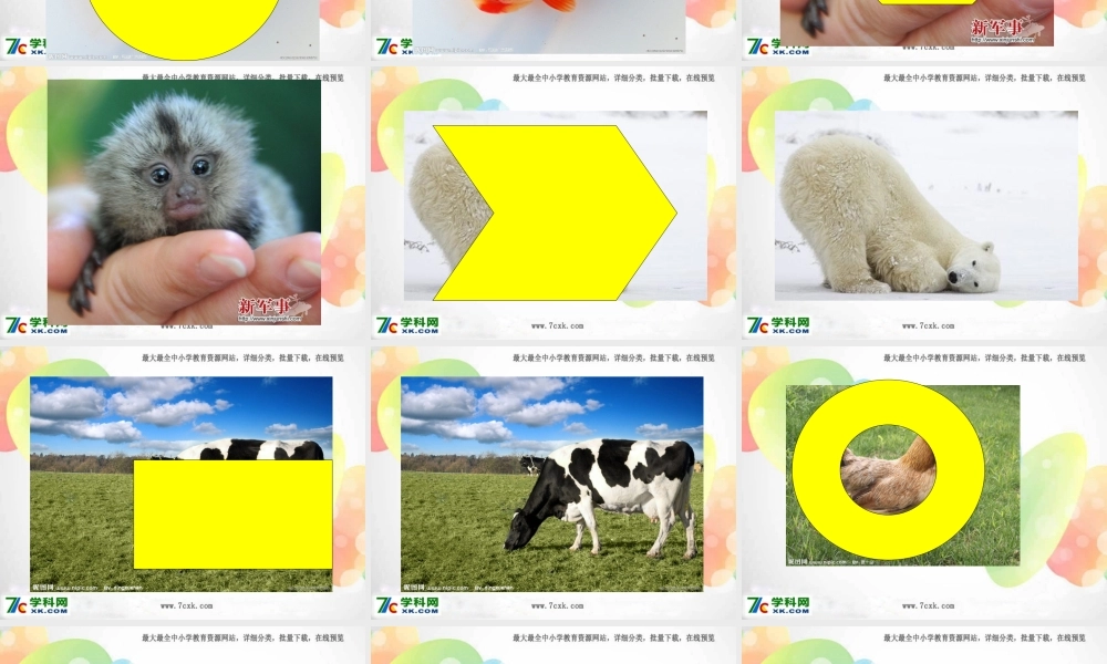 外研版（一起）一下Module 5《Unit 2 It’s thin》ppt课件3.ppt