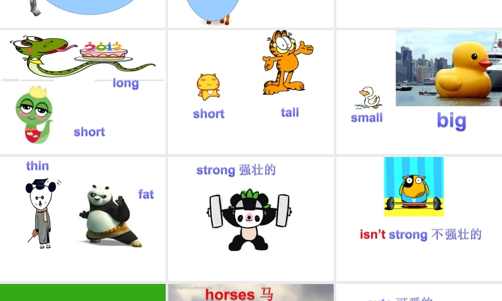 外研版（一起）一下Module 6《Unit 2 They’re little and cute》ppt课件5.ppt