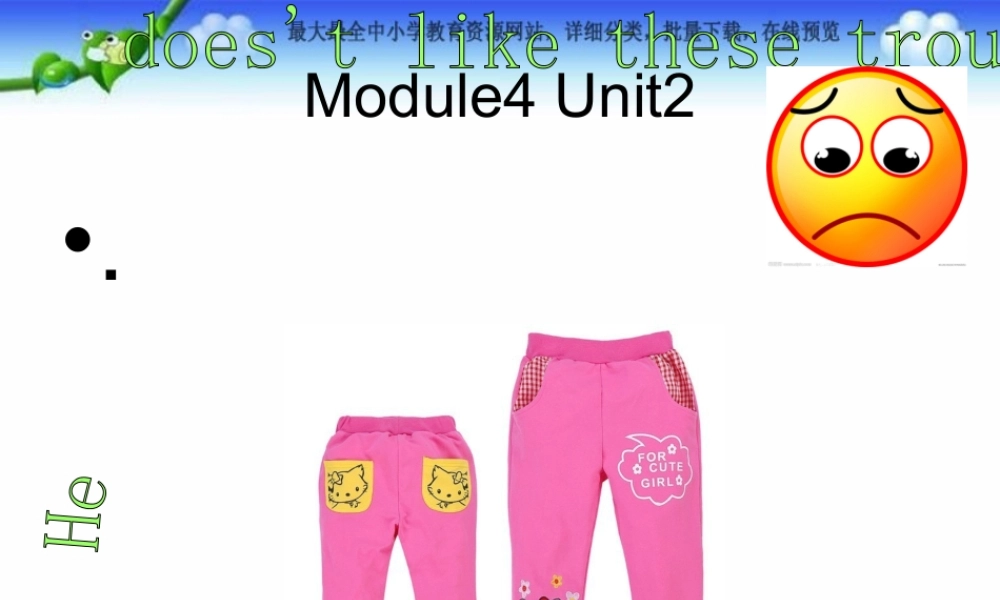 Module 4《Unit 2 He doesn’t like these trousers》ppt课件2.ppt