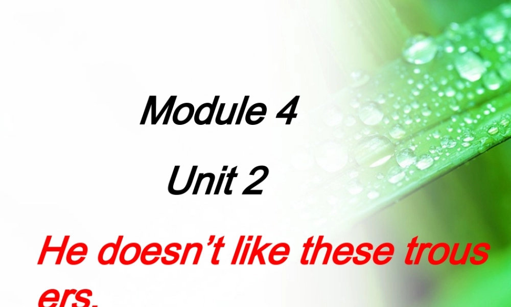 Module 4《Unit 2 He doesn’t like these trousers》ppt课件1.ppt